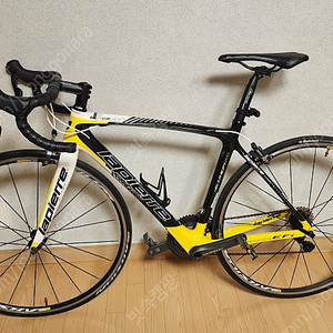 최상급 로드자전거 라피에르 젤리우스 EFI 200 풀카본 울테그라 사이즈S 49cm (176cm/77kg) 거의 새것상태