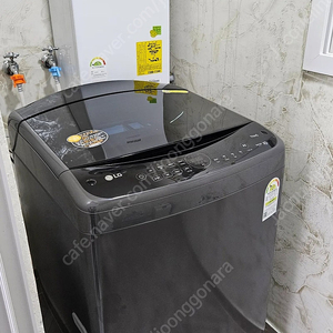 LG 19KG 통돌이 세탁기 T19MX8A