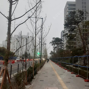 중나카페어서만거래)펨코 잉여력 잉포 1500포
