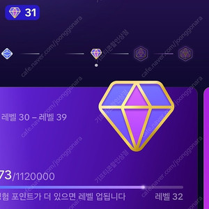 틱톡 후원자 31레벨 팝니다 (32레벨 업 전)