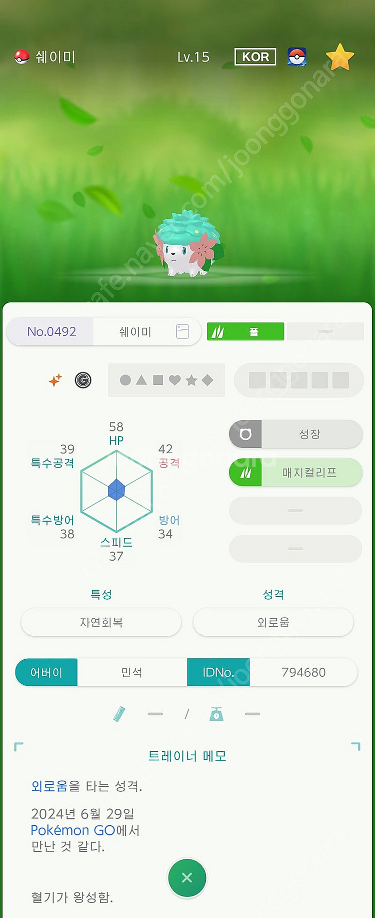이로치 아르세우스, 전설, 맥다맥 대행 인증 배포 판매--9