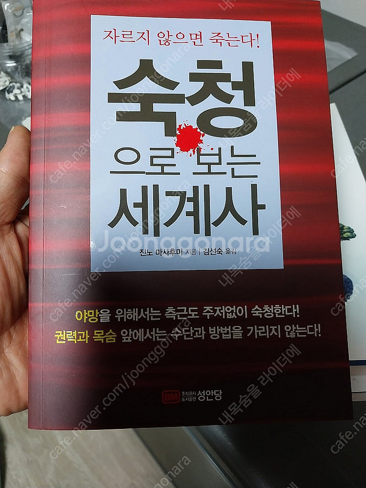 위쳐호수의 여인 및 여러책들--1