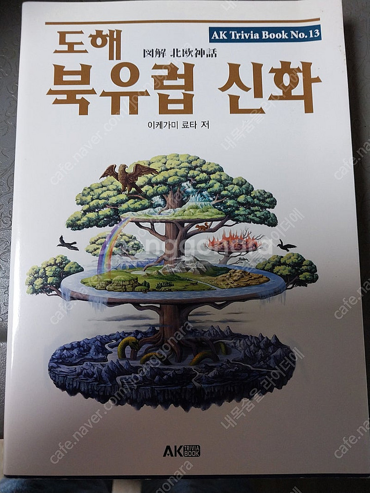 위쳐호수의 여인 및 여러책들--2