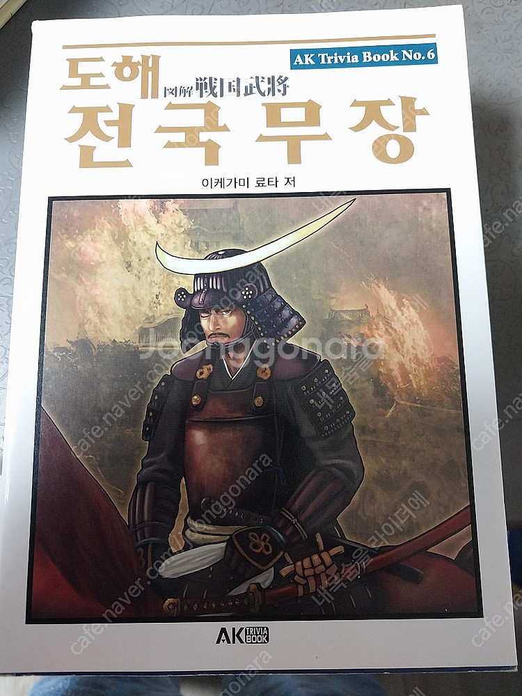 위쳐호수의 여인 및 여러책들--5