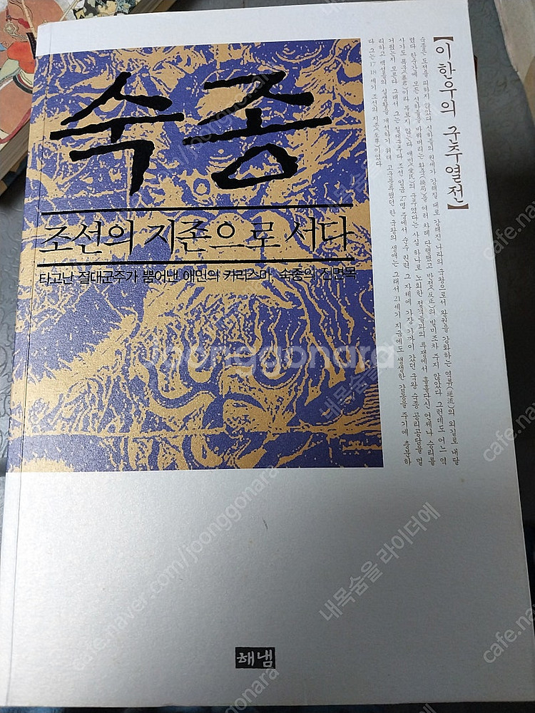 위쳐호수의 여인 및 여러책들--7