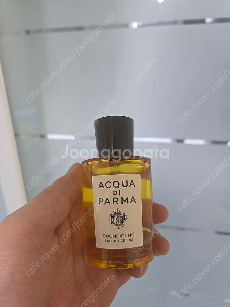 아쿠아 디 파르마 본조르노 향수 100ml--0