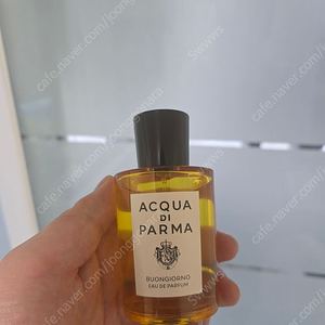 아쿠아 디 파르마 본조르노 향수 100ml