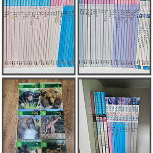 자연관찰 81권 - 두산동아 자연관찰 67권 + 파브르자연관찰 10 + 생태관찰 4 -대구직거래만