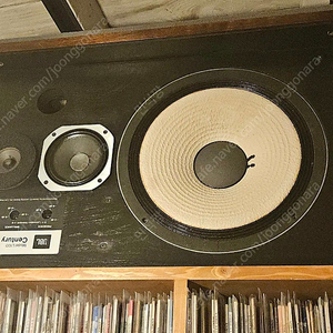 jbl l100 century 센츄리 재인하