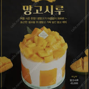 성심당.망고시루.기흥역