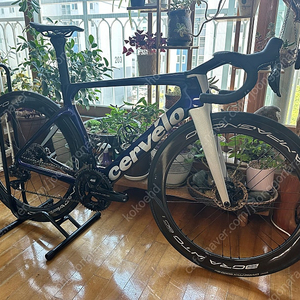 Cervelo s5, 54, 사파이어 아이스