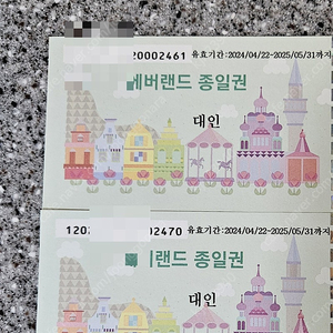 에버랜드 종일권 대인