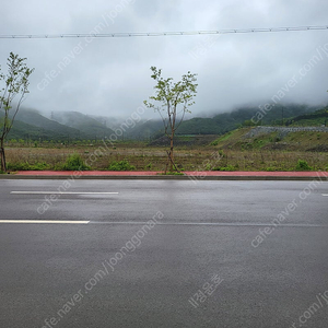 순금 30돈 골드바