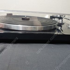 tn300