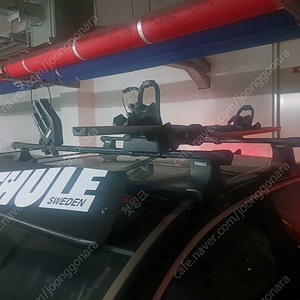 THULE 캐리어 판매