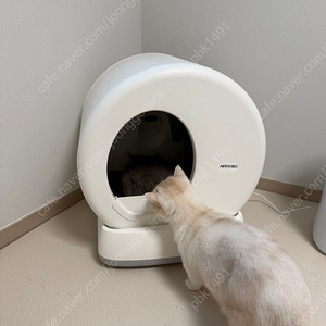 디클펫 고양이 자동화장실(카메라장착)풀 구성품