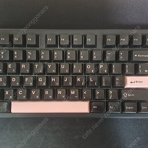 AULA F87PRO TKL(독거미)