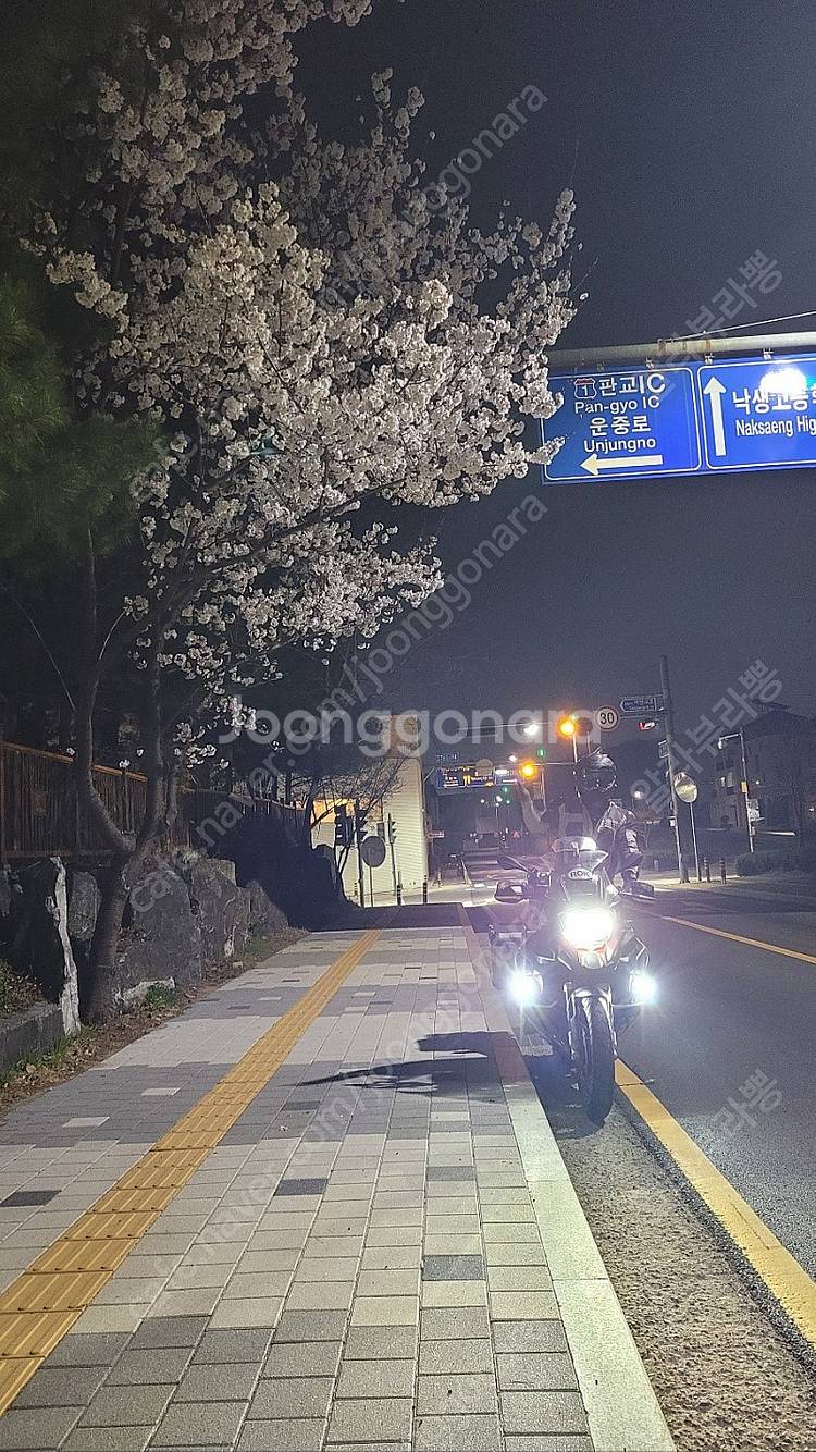 R1200GS ADV(어드방)--1