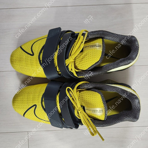 로말레오4 275 역도화