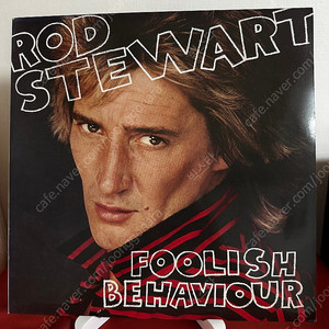 Rod Stewart - Foolish Behavior LP