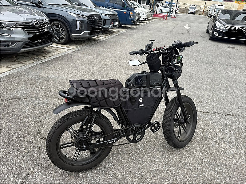 엑스라이더 X200s(고급형) 전기자전거--0