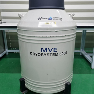 MVE CRYOSYSTEM 6000 액체질소통 175리터