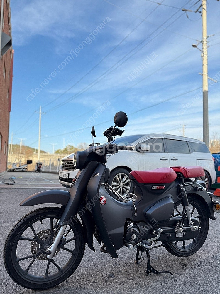 [신차보증]혼다 슈퍼커브 C125 24년식 8KM 앞뒤...--2