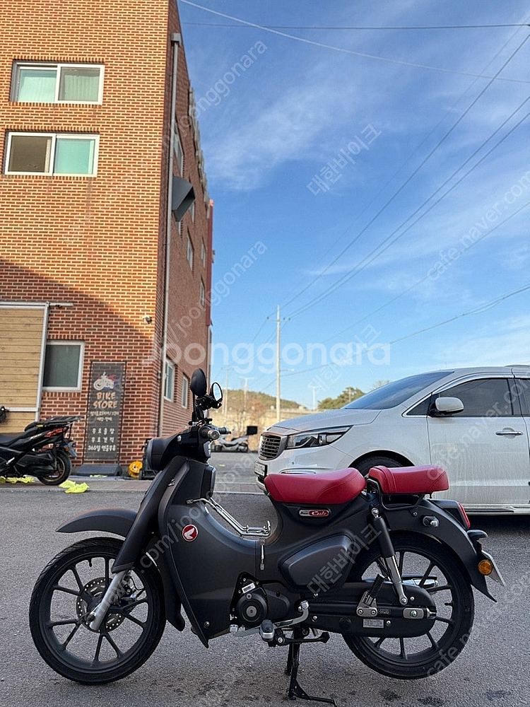 [신차보증]혼다 슈퍼커브 C125 24년식 8KM 앞뒤...--3