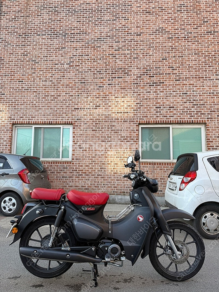 [신차보증]혼다 슈퍼커브 C125 24년식 8KM 앞뒤...--4