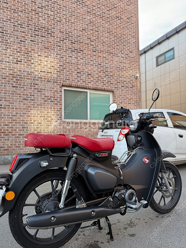 [신차보증]혼다 슈퍼커브 C125 24년식 8KM 앞뒤...--5