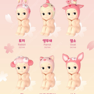 소니엔젤 체리블러썸 하나미 시리즈 개별 판매