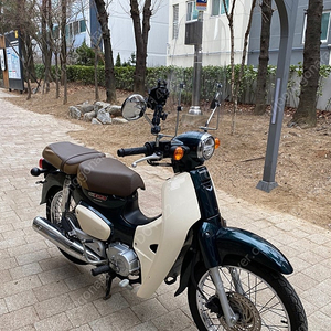 2019년 혼다 슈퍼커브 튜닝 바이크 판매합니다.
