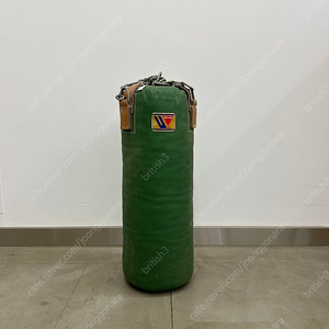 추성훈 위닝 샌드백