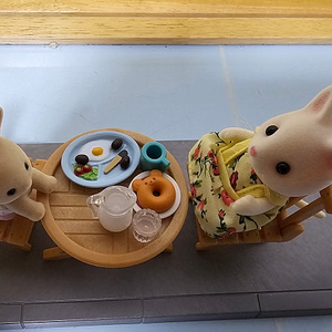 실바니안 야외 테이블(사진 그대로입니다.)