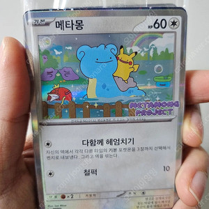 포켓몬 프로모 메타몽 미개봉 카드 판매