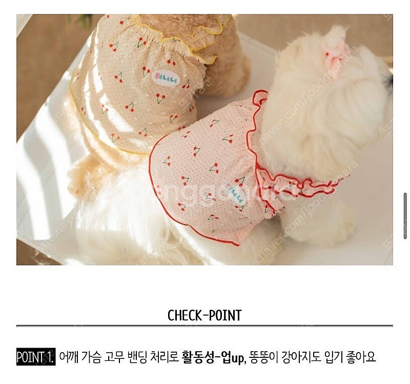 벨렐레 강아지옷 새상품--0