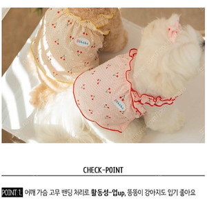 벨렐레 강아지옷 새상품