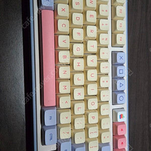 독거미 F75 회목축
