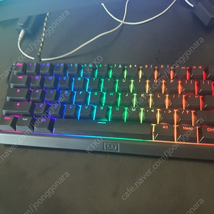 우팅 60he
