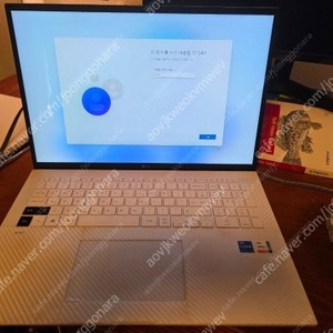 LG그램 17ZD90P / 17인치/ i7 11세대 / RAM 16GB / NVMe SSD 1TB (삼성 980 Pro)