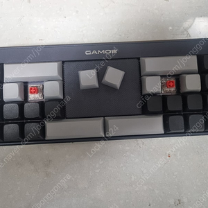 Gamo2 k28 적축
