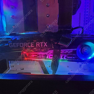 rtx3080