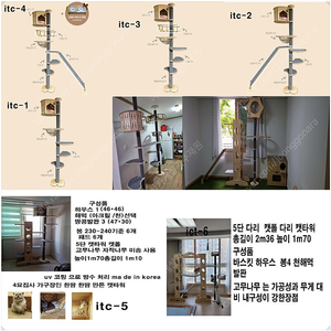 원목캣타워 캣폴