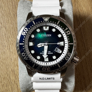 시티즌 BN0166-01L 다이버시계