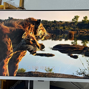LG 32sr83u 4k모니터 판매