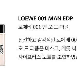 로에베 001 맨 국문텍 새상품