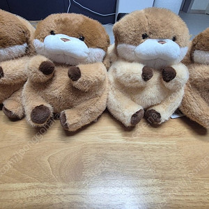 속았지 우소우소 카피바라우소우소