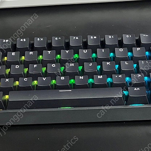 독거미 WIN60HE 자석축 래피드트리거 키보드