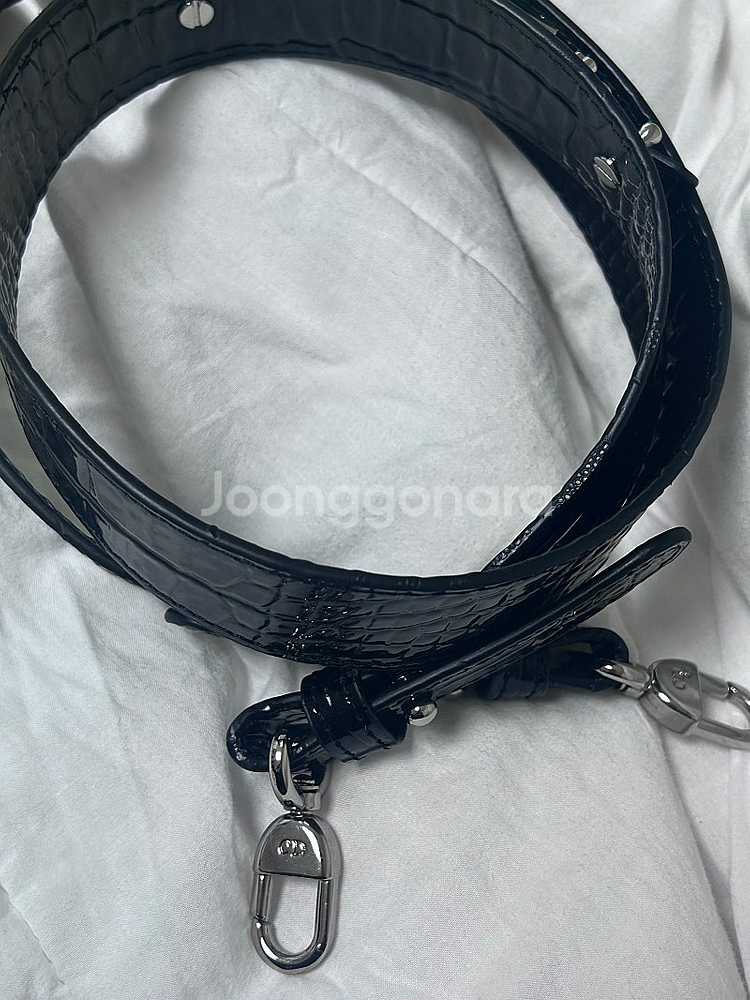 디올 레이디백 스몰 이그조틱--2