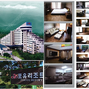 강원도 고성(속초) 포유리조트 5/10일 (토) 1박 45평 로얄스위트 복층 13만원 양도